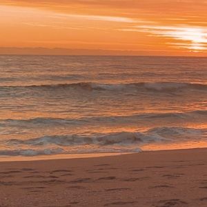 Meet your Posher, Bridget